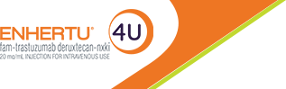 ENHERTU4U Logo